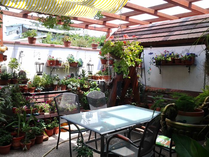 terasa mare.. - iulie 2014