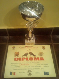 64976001_YDXLCNK3 - Diplome obtinute