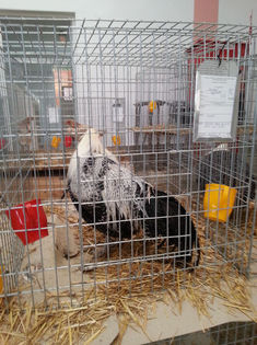93990278_JLCXCUW