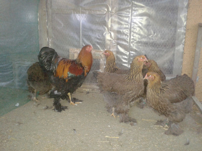 94430900_TACABUQ
