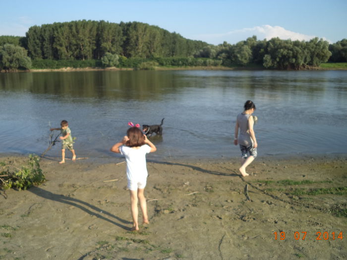 DSC01726