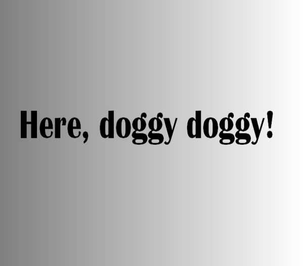 Damon Salvatore said it ;; guessed by #thedoppelganger
