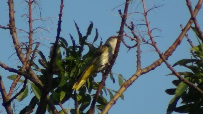 sta cateva sec intr-un loc