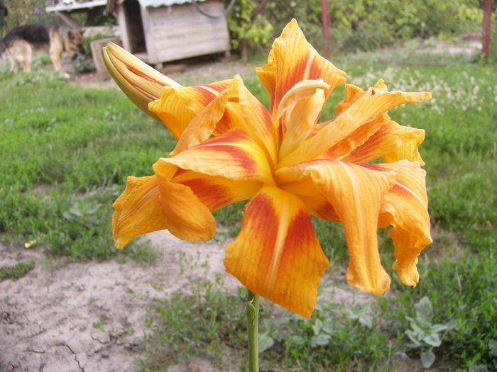 P1220837