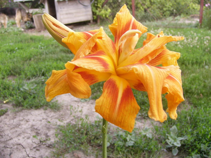 P1220838