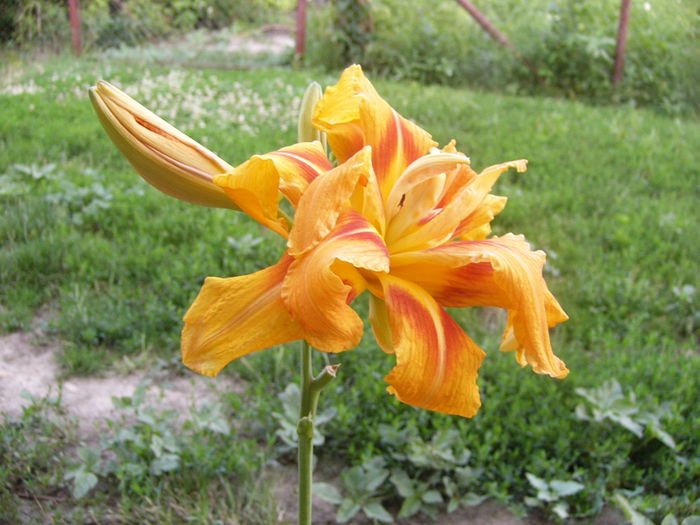 P1220840