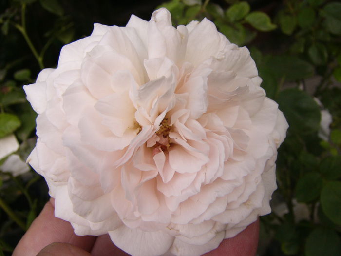 P1220847