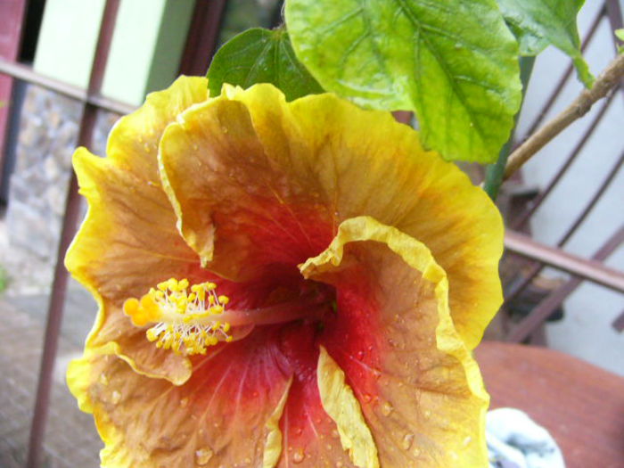 P1220854