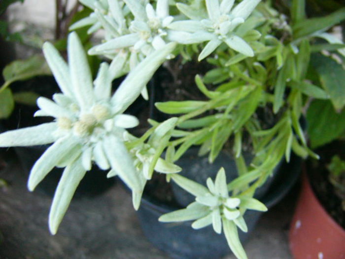 P1220870