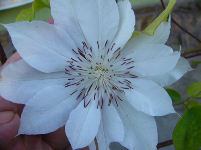 P1220891