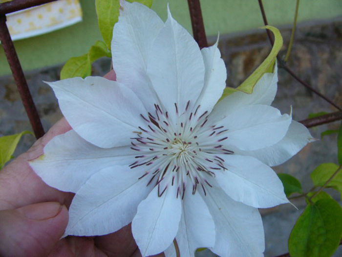 P1220892 - Anul 2014 IV