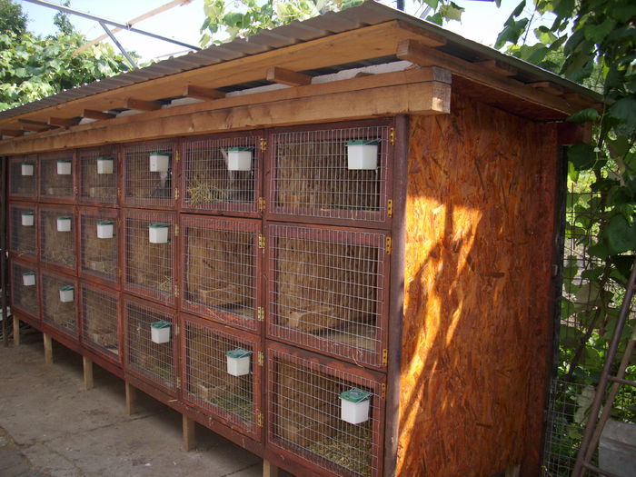 in total 18 boxe - CUSTILE IEPURILOR