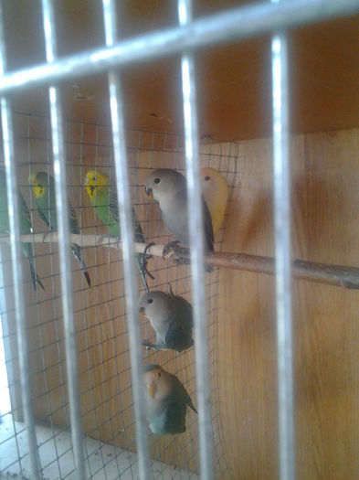 Fotografie0197 - Agapici