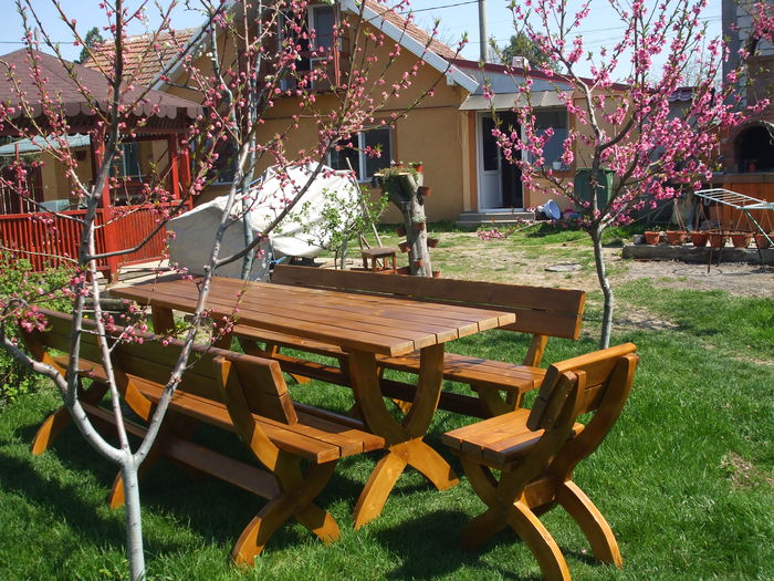 DSCF5256 - Mobilier Exterior Lemn