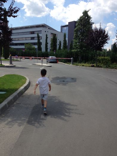 image - Prin Cluj