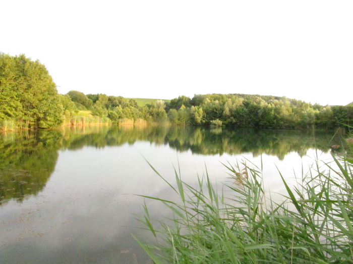  - Diverse 1 - Plimbari