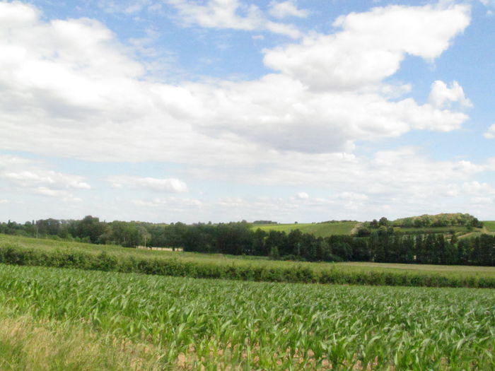  - Diverse 1 - Plimbari