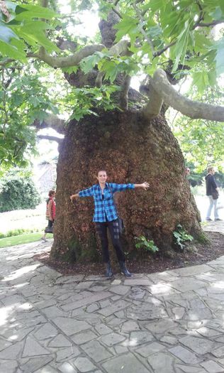 10547646_810784388940199_921852808272182064_n - cele mai frumoase florii ale mele