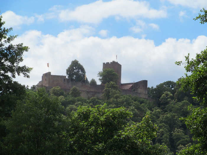  - Diverse 1 - Plimbari