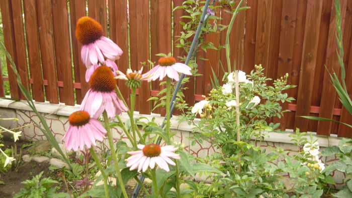 087