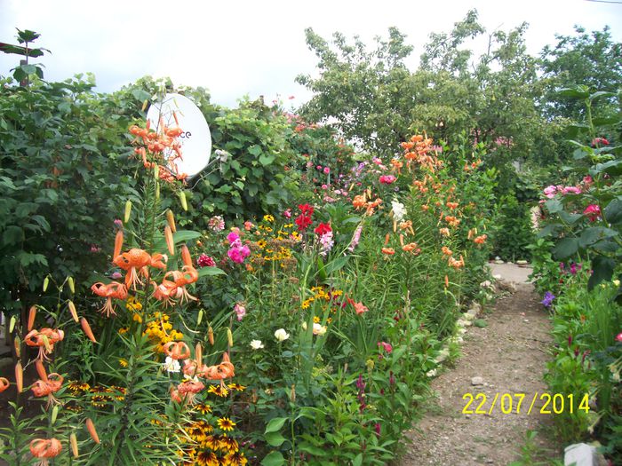 101_7430 - PETRU  UN  SUFLETFRUMOS