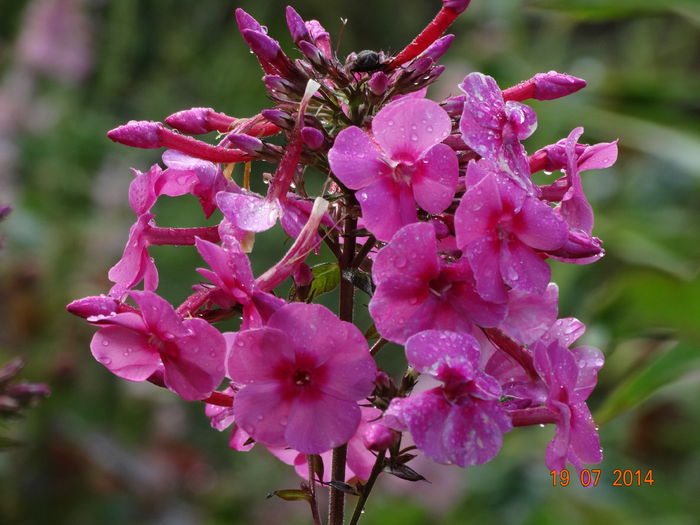 DSC05809