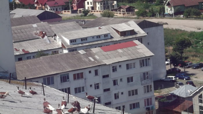 PRELUCRAREA TRASEULUI DE ZBOR