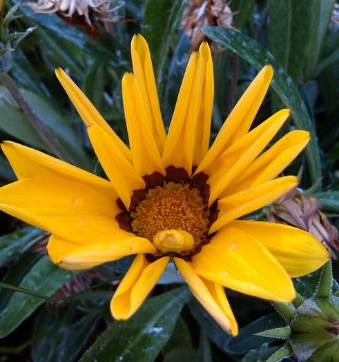 IMG_20140710_105631-001