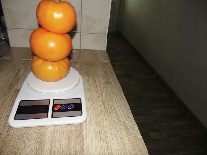 CIMG1408 - poze pentru Marius