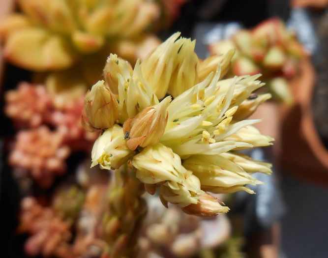 10430820_474838332661079_8584886329136505204_n