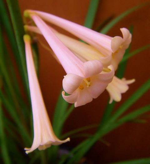 10438142_10152579598505917_5353672590956048766_n