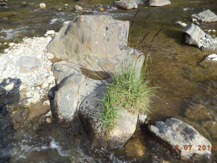  - Valea Raului Doamnei