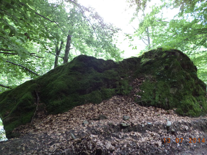  - Valea Raului Doamnei