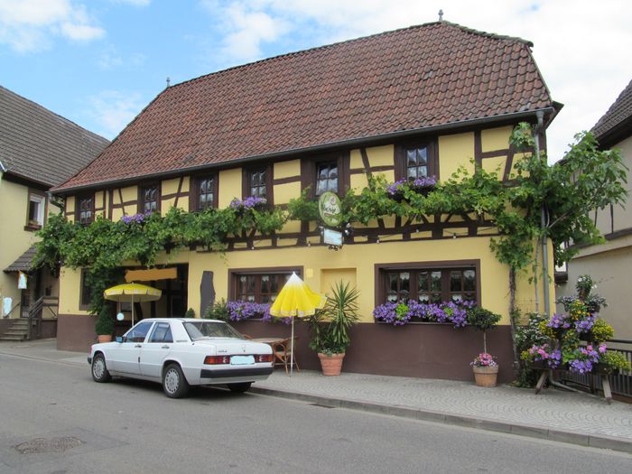  - Diverse 1 - Plimbari