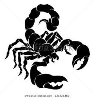 Marius - scorpion