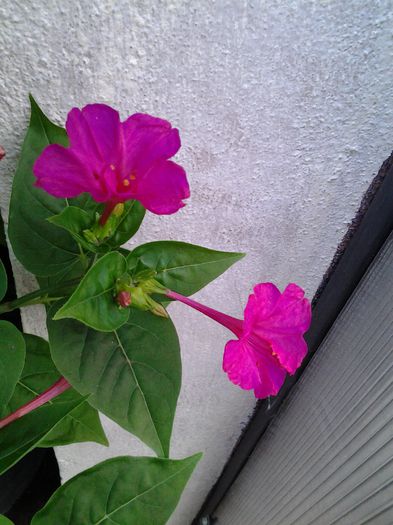 20140725_202921