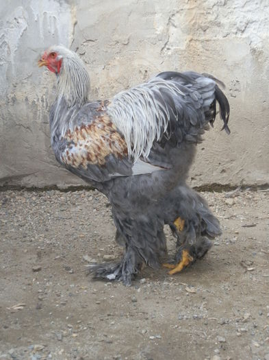 P7265010
