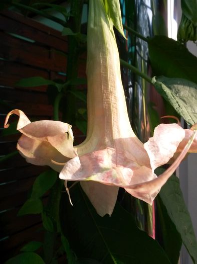 20140721_180515