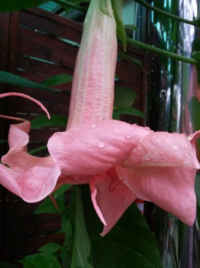 20140722_071139