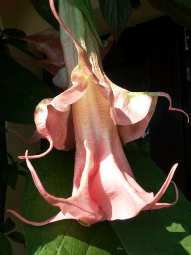 20140726_161024