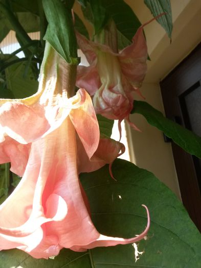 20140726_161032