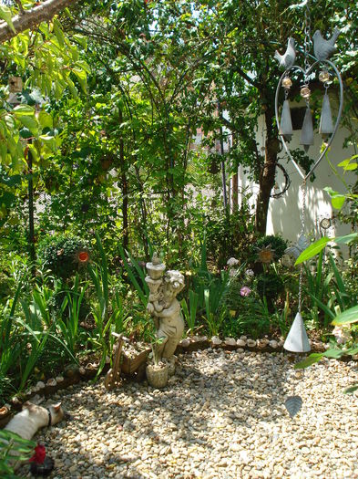 DSC02919 - Gradina in 2014