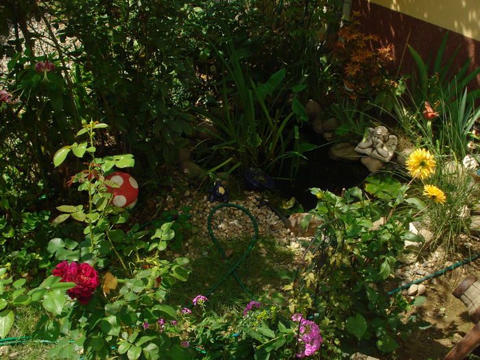 DSC02967 - Gradina in 2014