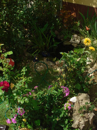 DSC02968 - Gradina in 2014