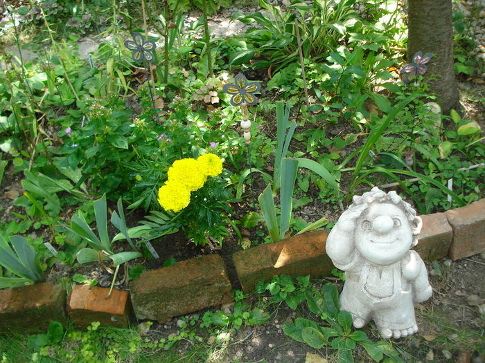 DSC02896 - Gradina in 2014