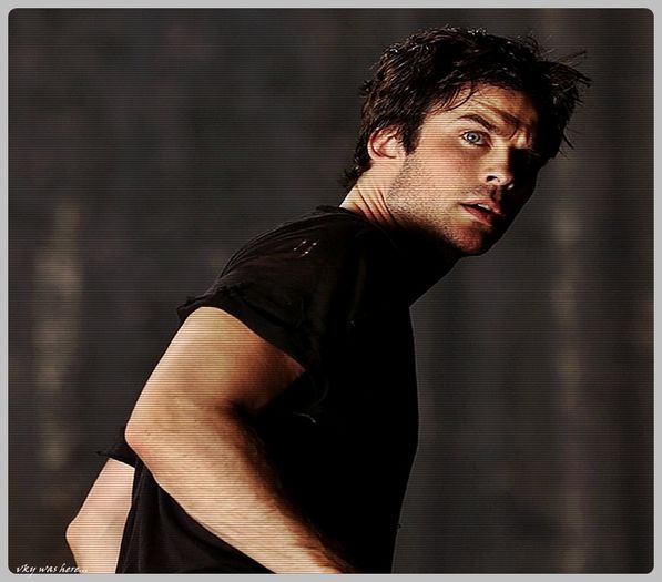 #► |se plimba prin partea cealalta a junglei cautand fructe|