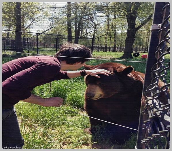 #► |o ia la fuga spre ea si se`mpiedica si vine nas in nas cu un... urs;_??;; [cl]; apoi o ia la fuga si mai rau si trece pe langa ea tipand| Sunt putin ocupat acum...|fuge de urs si ursu dupa el|=))))))
