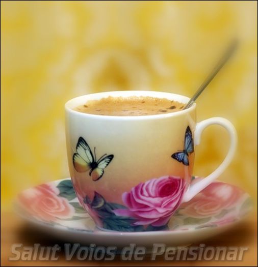 cafea; http://svdp.yes-da.com/
