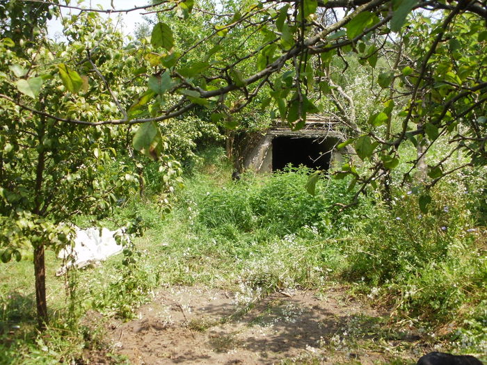 P1010082