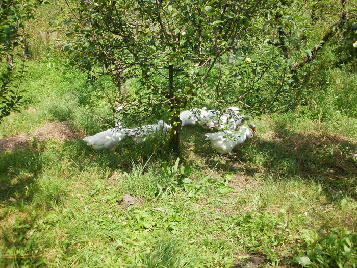 P1010089